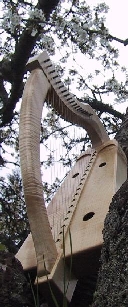 dragon harp