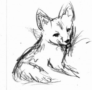 Fox Kit - art by Jane Valencia (c) 2005