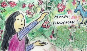 Mmm! Hawthorn! - art from Paloma And Wings - a Kids Herbal Comic by Jane Valencia (c) 2012